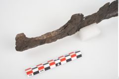 Foto von Eisenhiebmesser (NHMW-PRAE-025162)